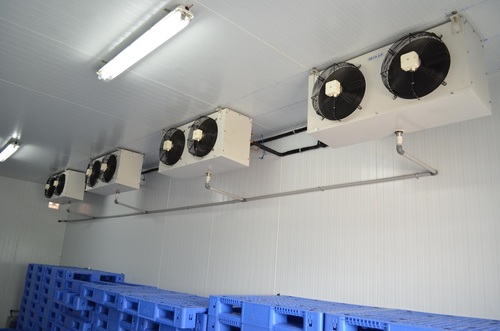 fruit ripening chamber Manufacturer in Raipur