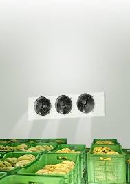 Ripening Chamber Manufacturer in Raipur